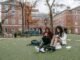 Online Colleges That Accept FAFSA: How to Pay for Your Online Degree With Federal Financial Aid Online Colleges That Accept FAFSA: How to Pay for Your Online Degree With Federal Financial Aid