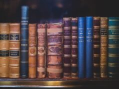 What Does PhD Mean? The Real Answer Goes Deeper Than “Doctor of Philosophy” What Does PhD Mean? The Real Answer Goes Deeper Than "Doctor of Philosophy"