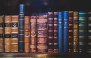 What Does PhD Mean? The Real Answer Goes Deeper Than “Doctor of Philosophy” What Does PhD Mean? The Real Answer Goes Deeper Than "Doctor of Philosophy"