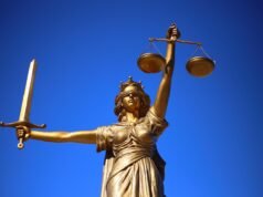 Nursing to Criminal Justice: Programs Built Around You Nursing to Criminal Justice: Programs Built Around You